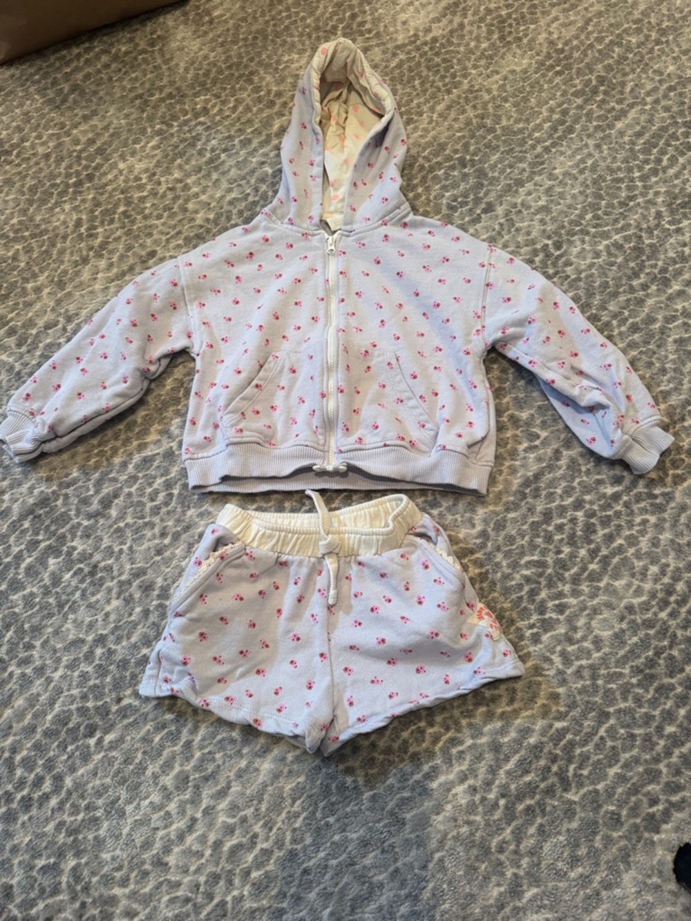 Zara Light Lavender Hoodie & Shorts Set with Pink Floral Print